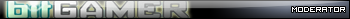 bitgamer moderator