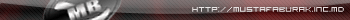 mstfbrk