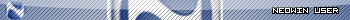Neowin User