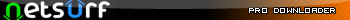 Netsurf.ru Pro Downloader