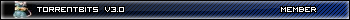 torrent bits
