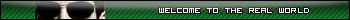 Matrix