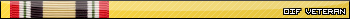 OIF_Veteran