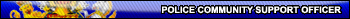 Police CSO