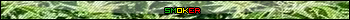 Cannabis Smoker