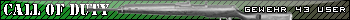 Gewehr 43