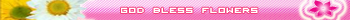 God Bless Flowers (v2.0)