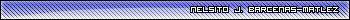 Nelsito J. Barcenas-Maltez Userbar