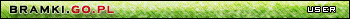 Animated Others Artists Userbars ( userbar for szymonbee )