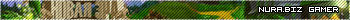 nura.biz Gamer