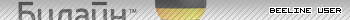 beeline_user