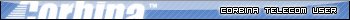 Corbina Telecom User