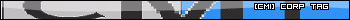 cmisw2