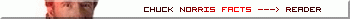 CHUCK NORRIS 2