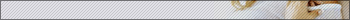 Elisha Cuthbert Fan Userbar Part #7