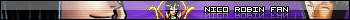 Nico Robin Fan