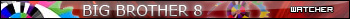 Big Brother 8 with border
