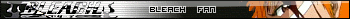 Bleach_2
