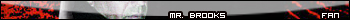 Mr. Brooks