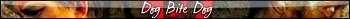 Dog bite Dog_1