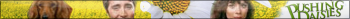 Pushing Daisies