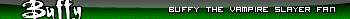 Buffy the Vampire Slayer fan