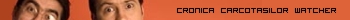 Cronica Carcotasilor