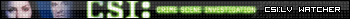 CSI:Las Vegas userbar