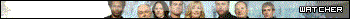 CSI watcher animated