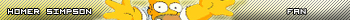 Homer Simpson Fan