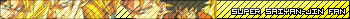 Dragon Ball Z ( Super Saiyan-Jin ) FAN