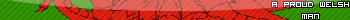 --Welsh Flag--