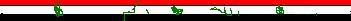 iraq