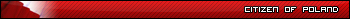 Polish Flag 1