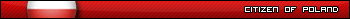 Polish Flag 2