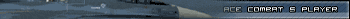 Ace Combat 5 Fan