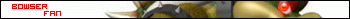 BOWSER_04