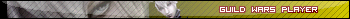 Guild Wars Player