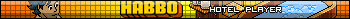 Habbo Hotel Player