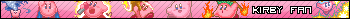 Kirby Fan