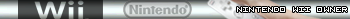 Nintendo Wii Owner