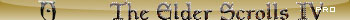 Elder Scrolls IV: Oblivion Pro
