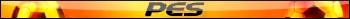 PES_1