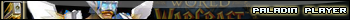 Paladin Player