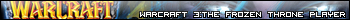 Warcraft III - Frozen Throne Player