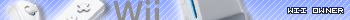 Wii owner