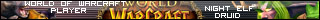 Druid