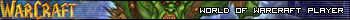 World of Warcraft