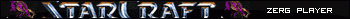 ZERG PLAYER STARCRAFT