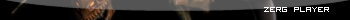 Zergplayer